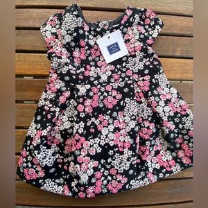 Janie and Jack infant 3-6 mos dress NWT